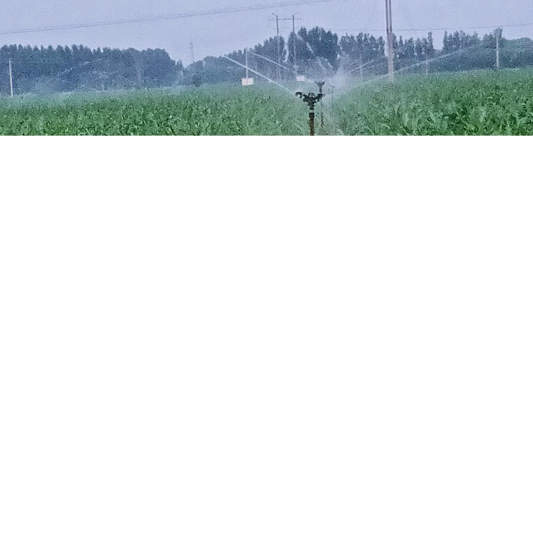 李卫国