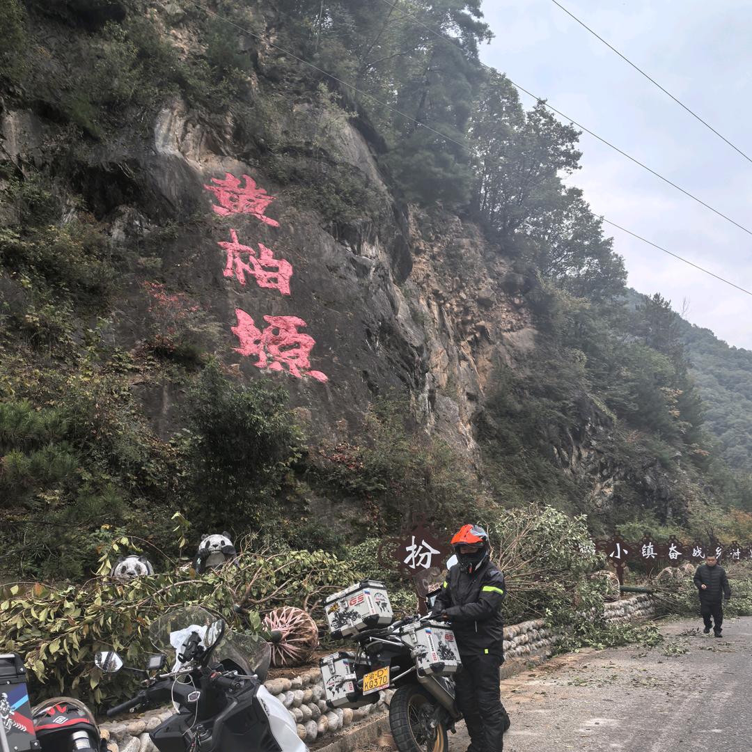 随心❤🙏