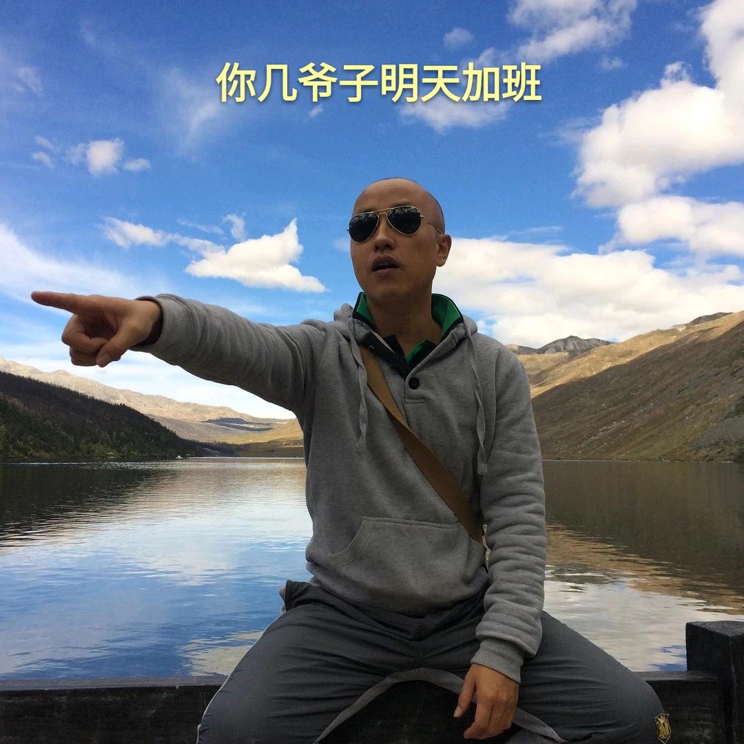 光头钱哥多美宝