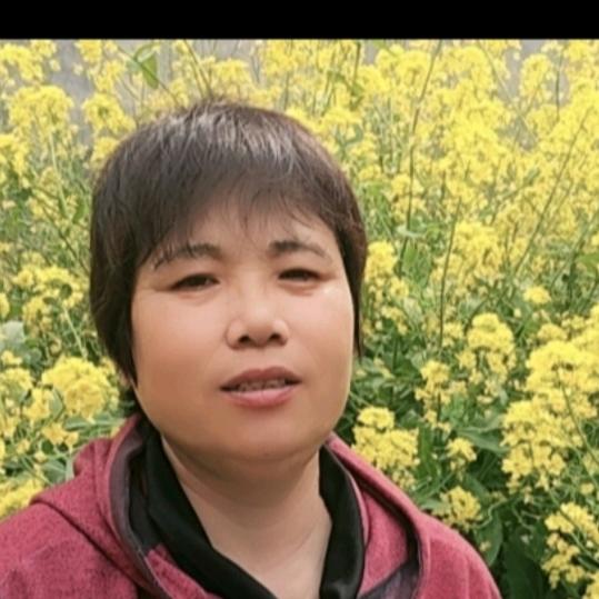 素芹