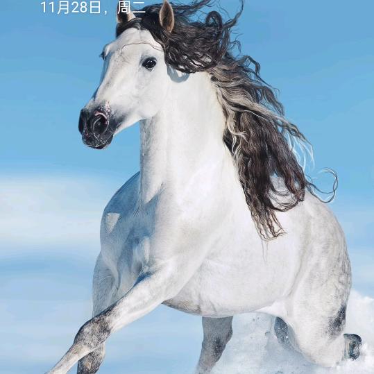 回不去@