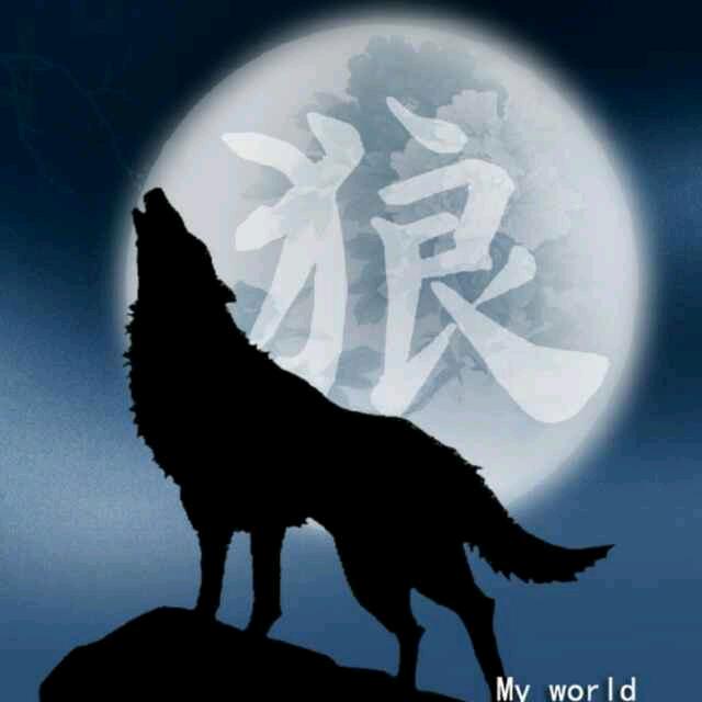战狼🇨🇳