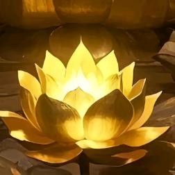 金色正能量