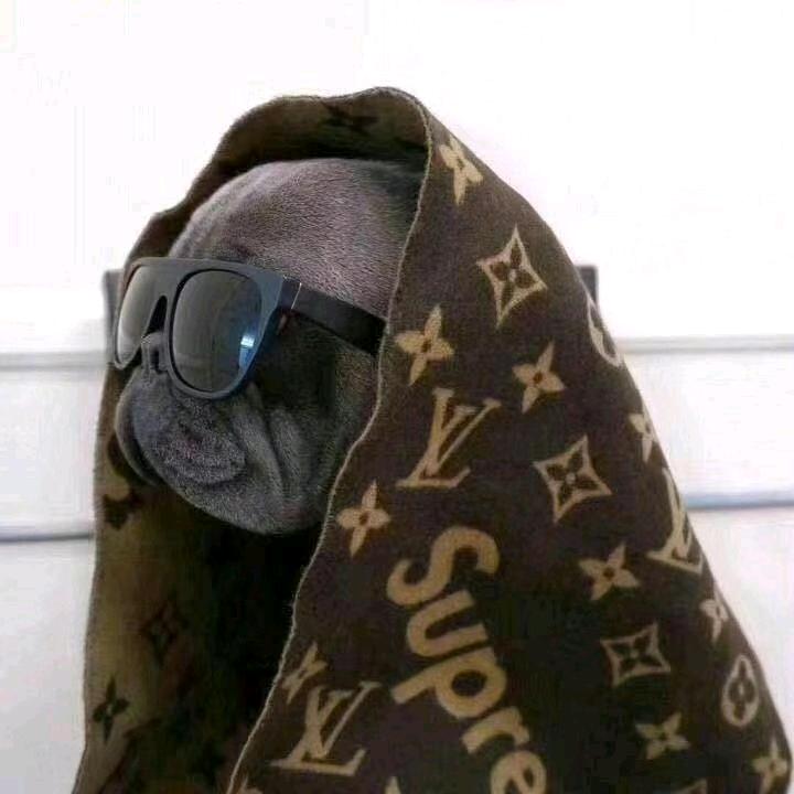 点ye墩墩