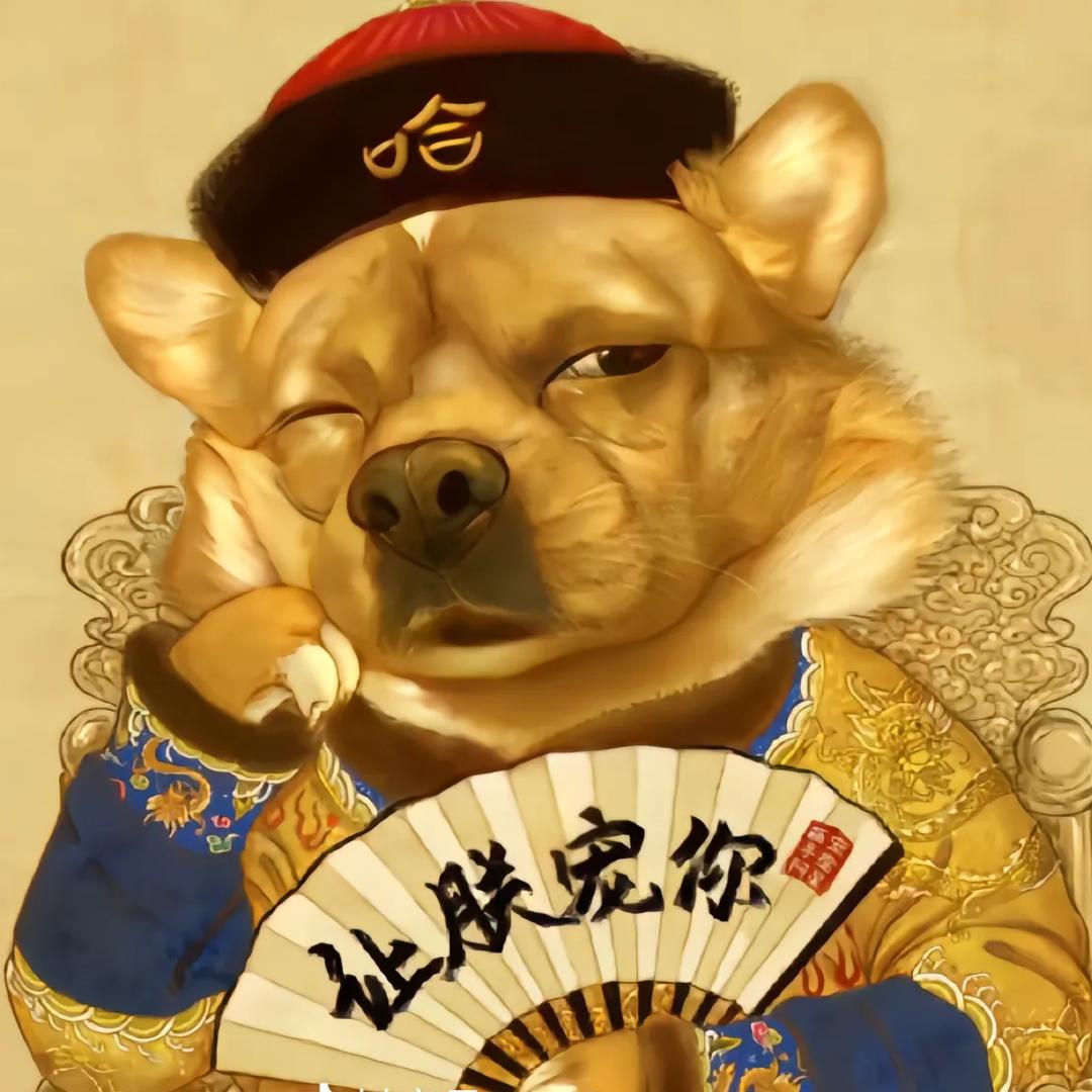 赵飞