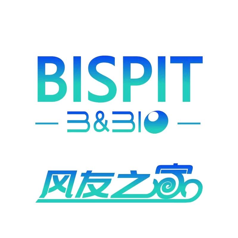 BISPIT-风友之家
