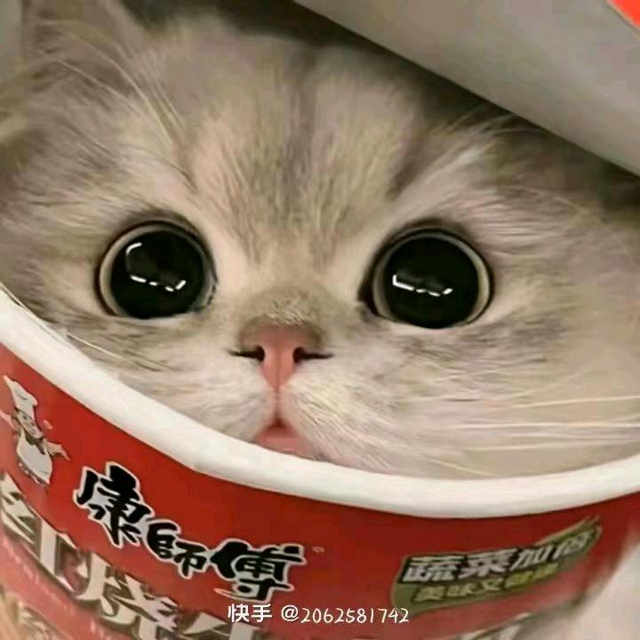 💫 辉💫