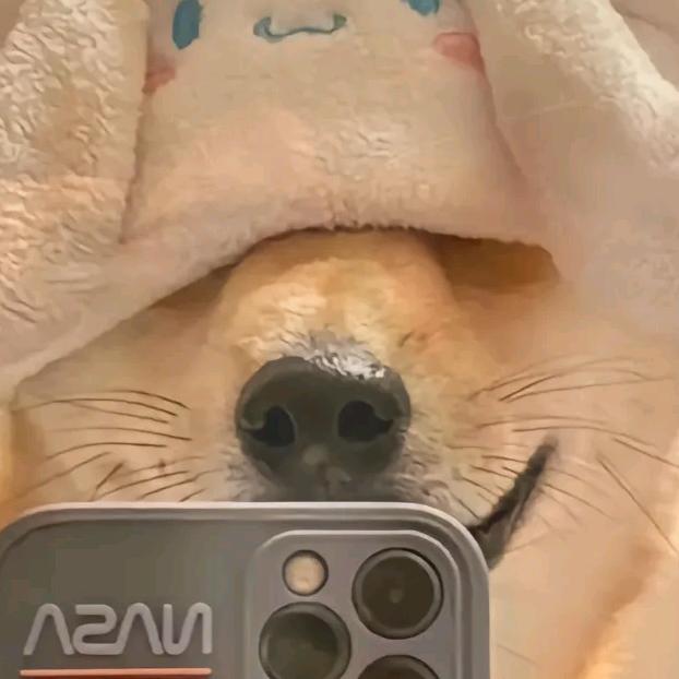 稚乄卿