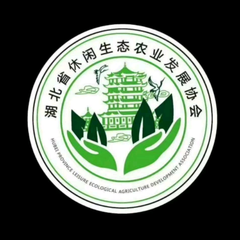 刚哥（农协会长陈刚）