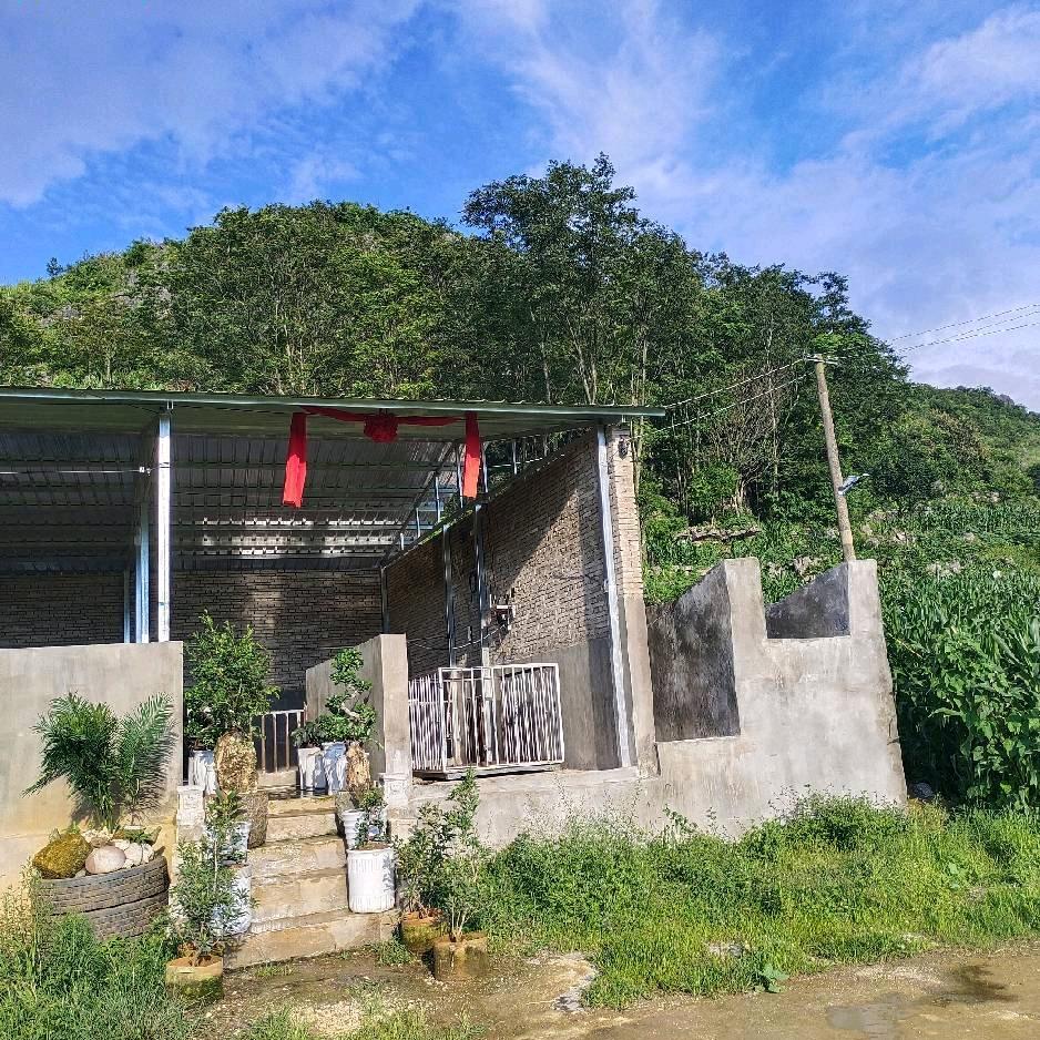 云南省生猪购銷调运蔡灏瀚爺