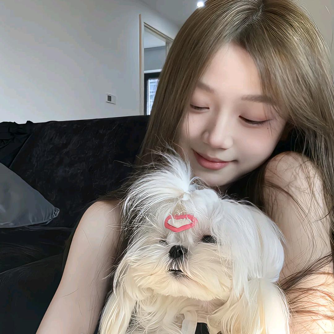 小尾羊sheep🐏