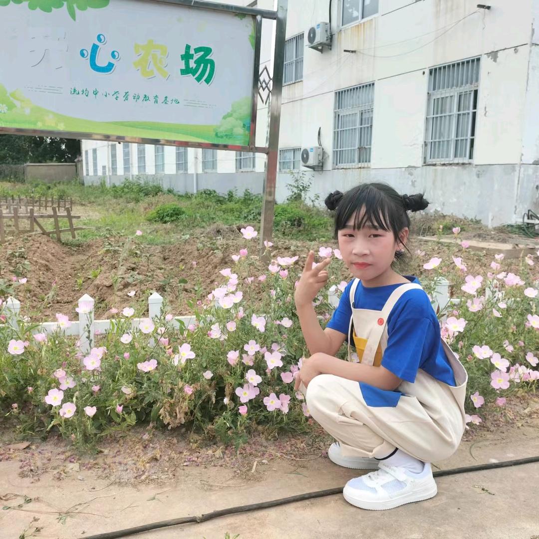 只。玩和平的小艺。