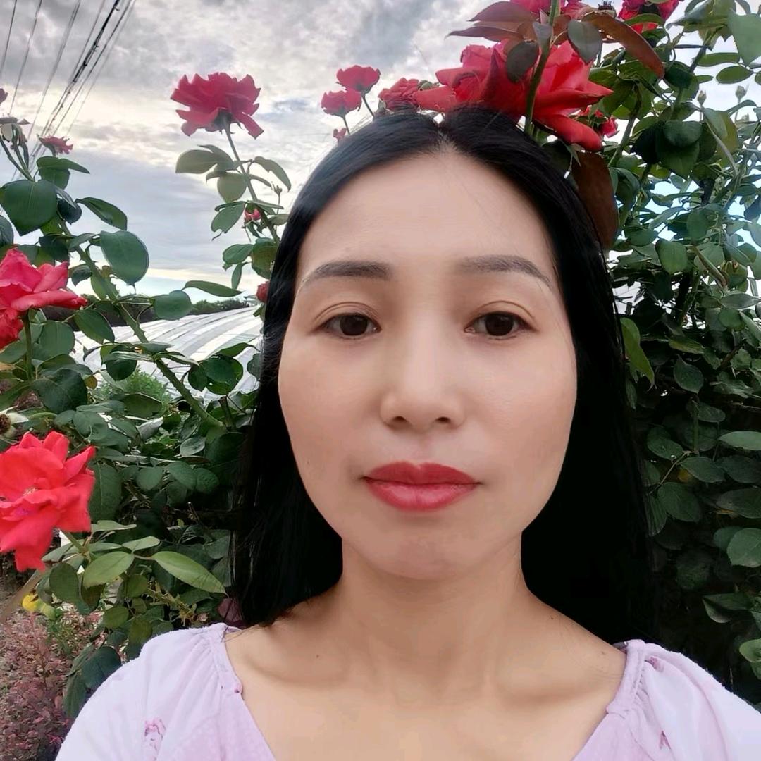 小凤姐