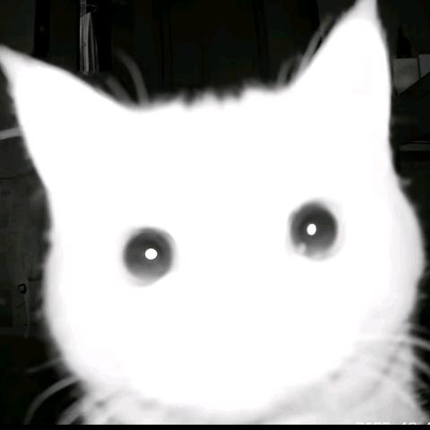 佑宥