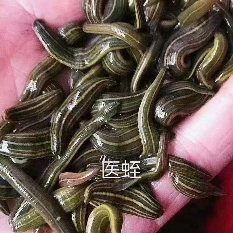 璇玑