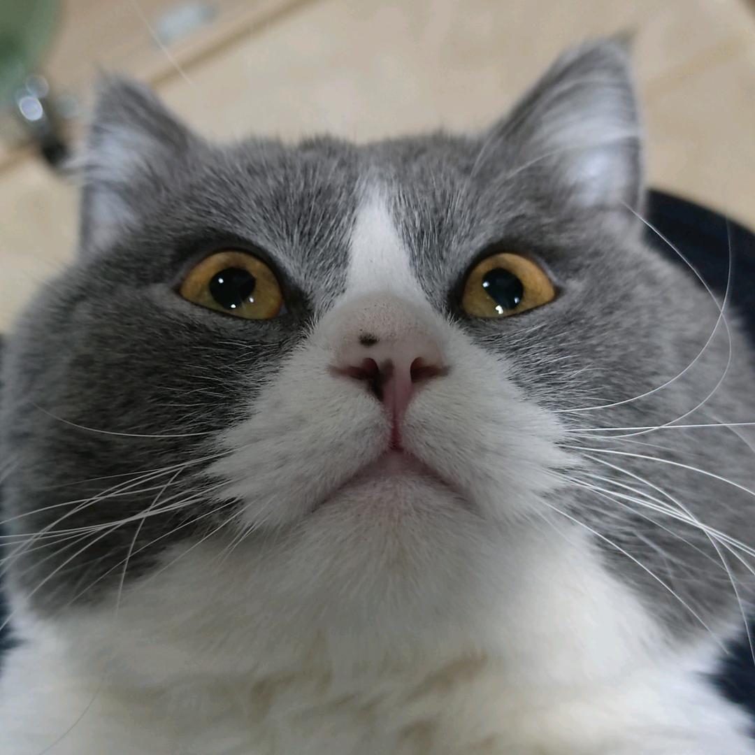 水抖