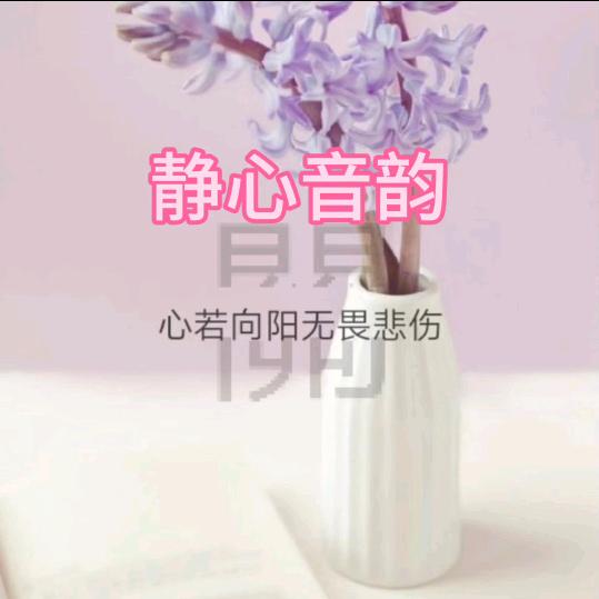 静心音韵