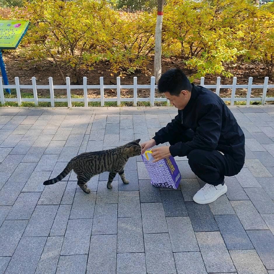 山西晋鑫星途汽车