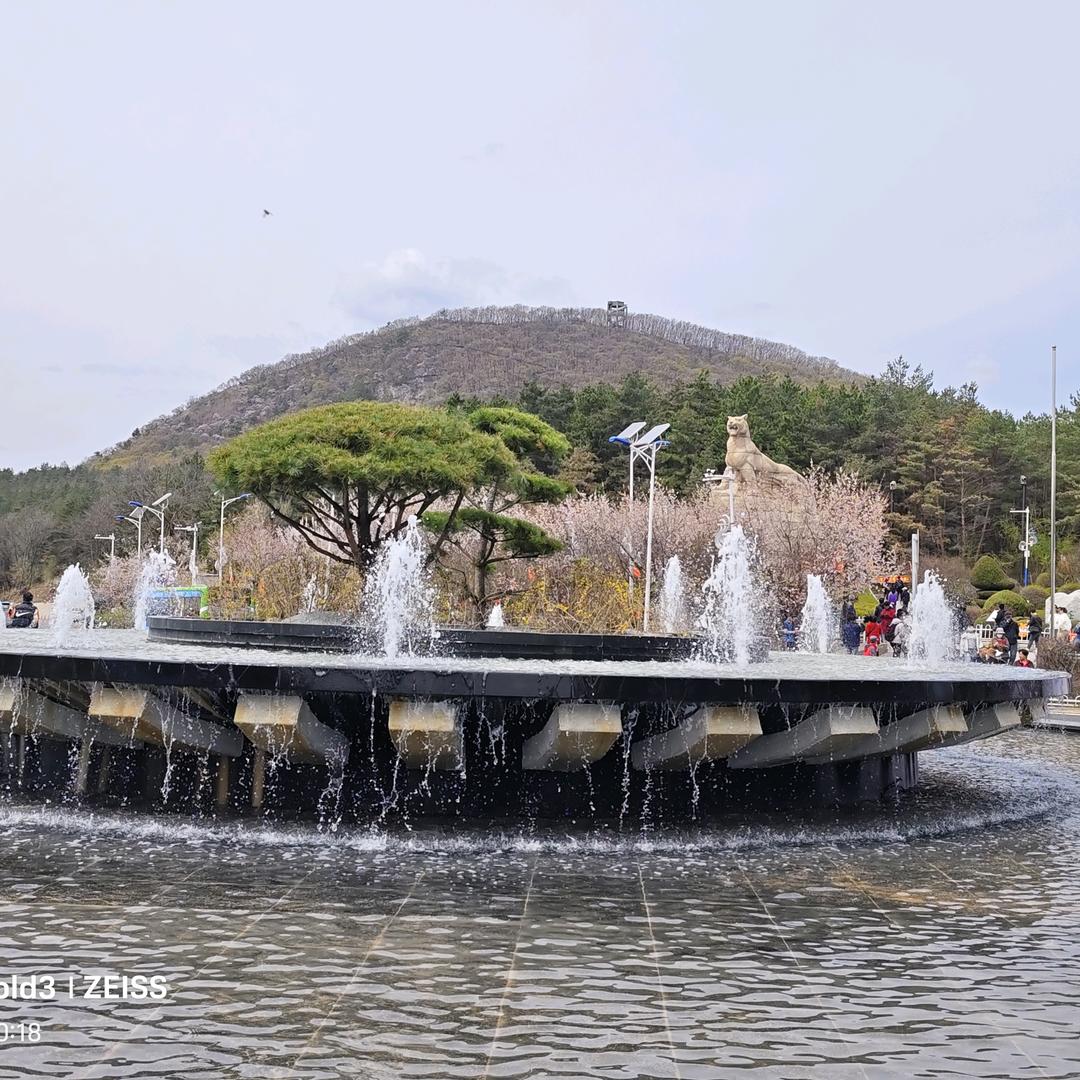 岳桦林