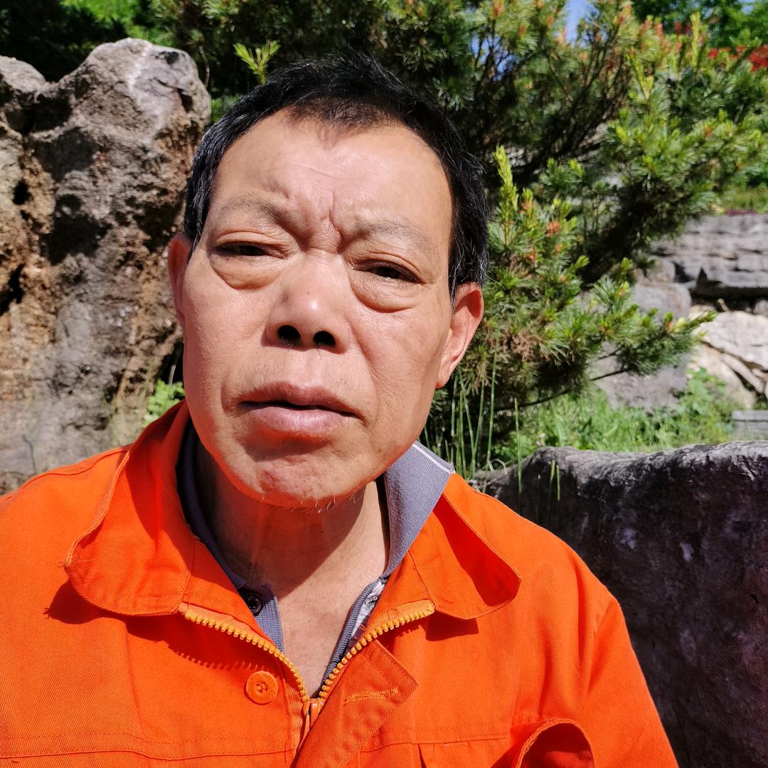 启元毛毛