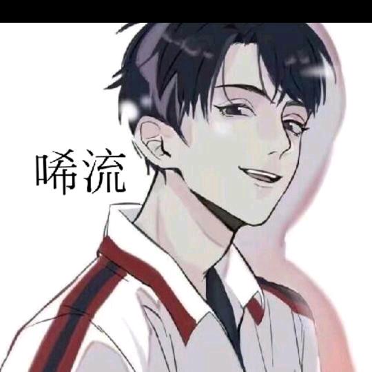 小小流（两万战辅核廉颇）