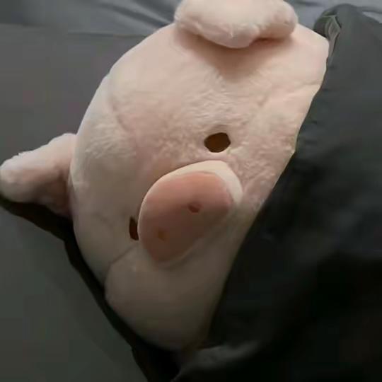 你的关注