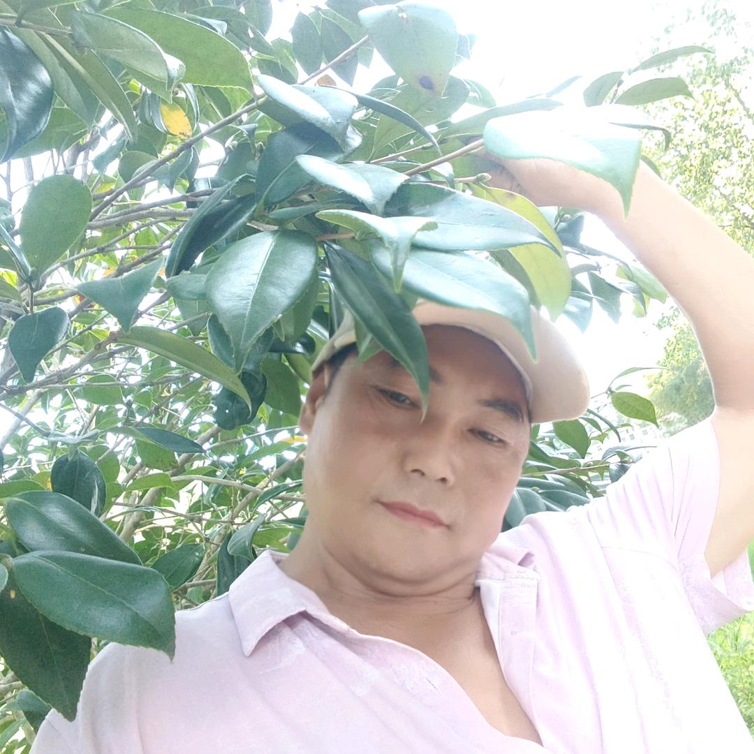 王鹏，