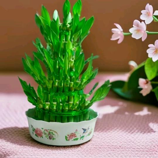 常悟{橱窗吉祥物逛逛}
