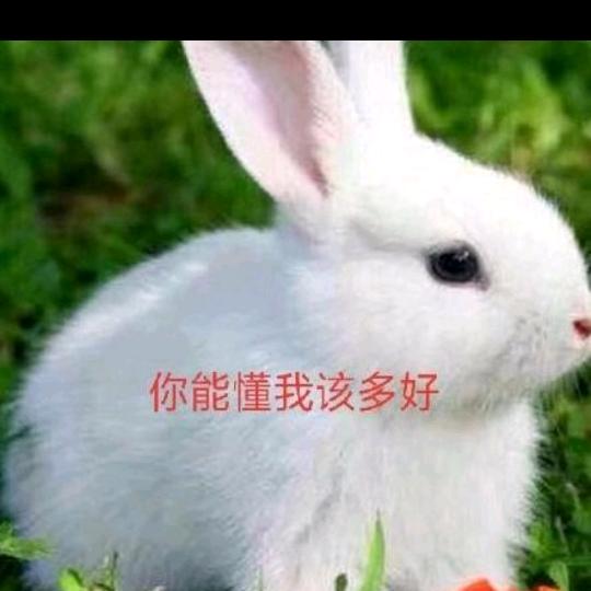 啊英，75二月🐰