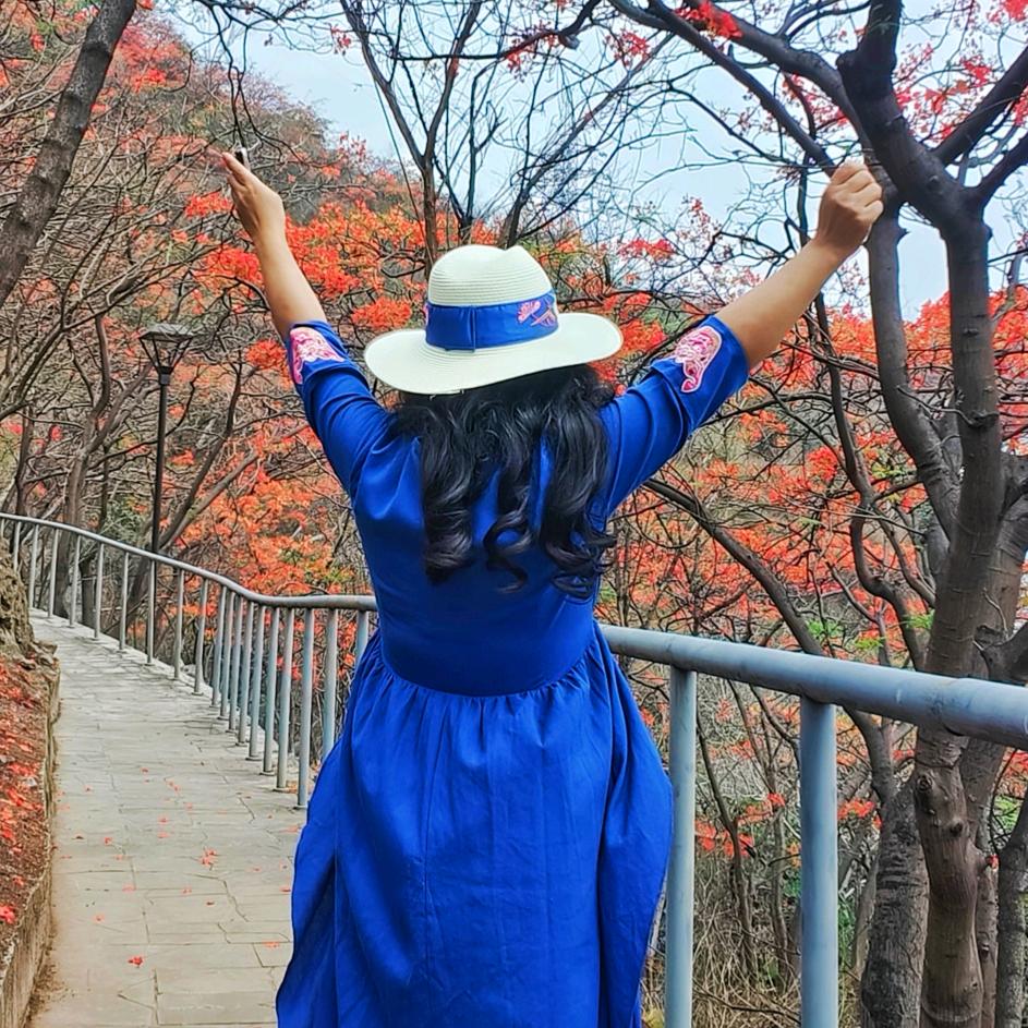 梦菲儿的旅途
