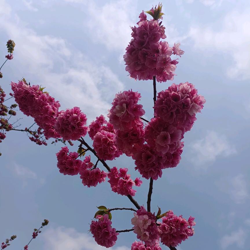 命运转折点
