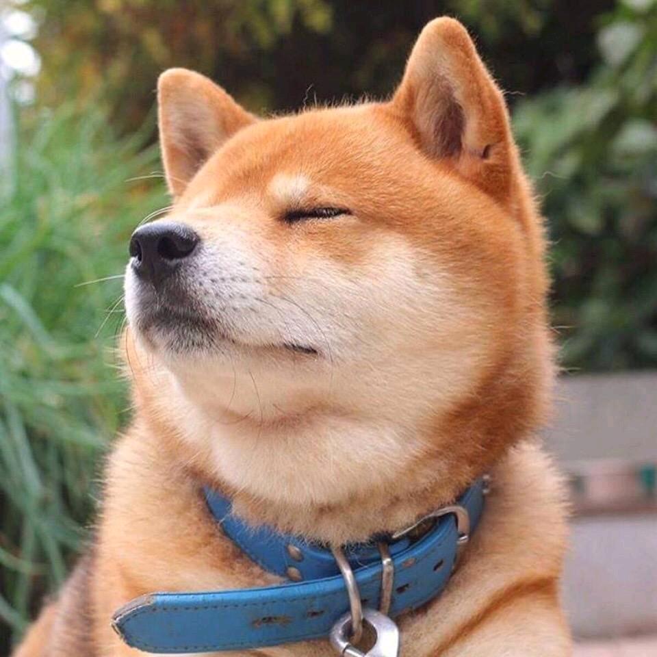 胡吊扯与白吊哒