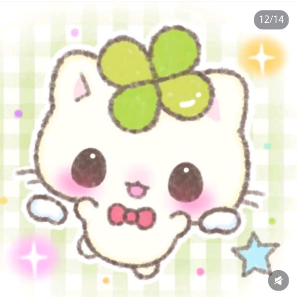 小猫来信