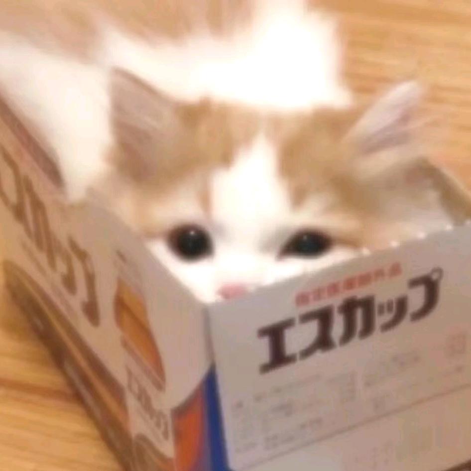 囤囤鼠恰薯条