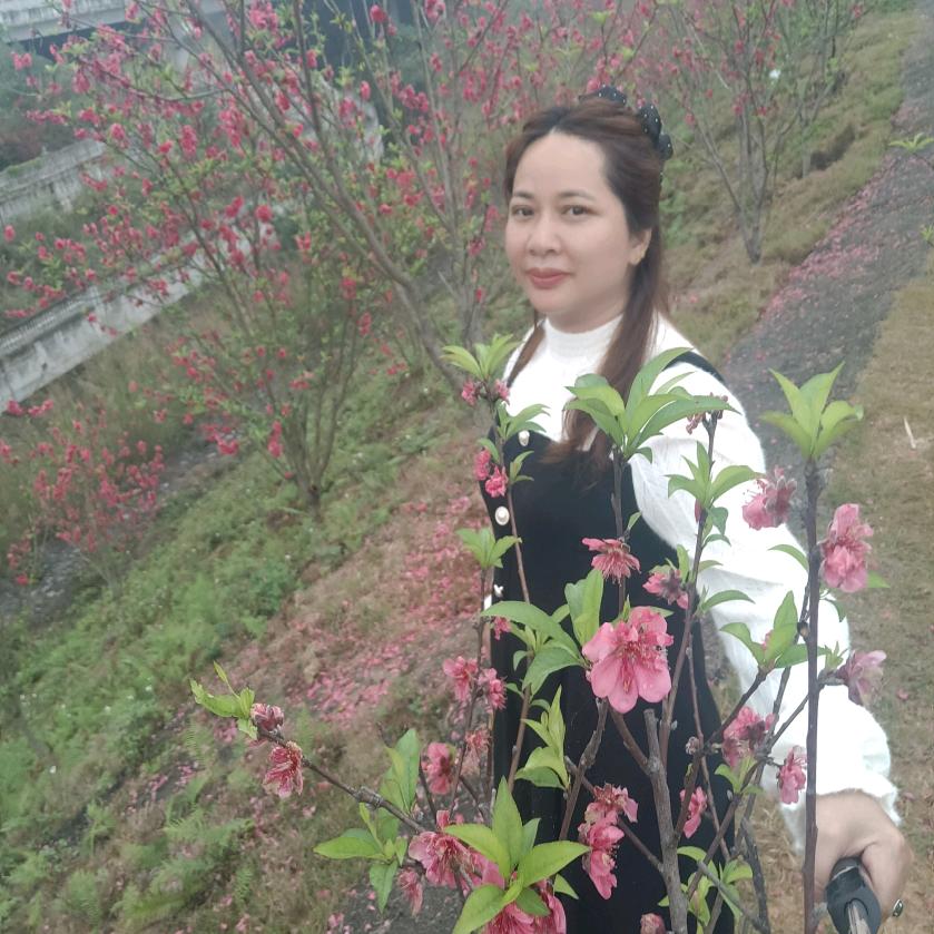 胜利归来