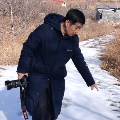 泰山松欢迎游泰山