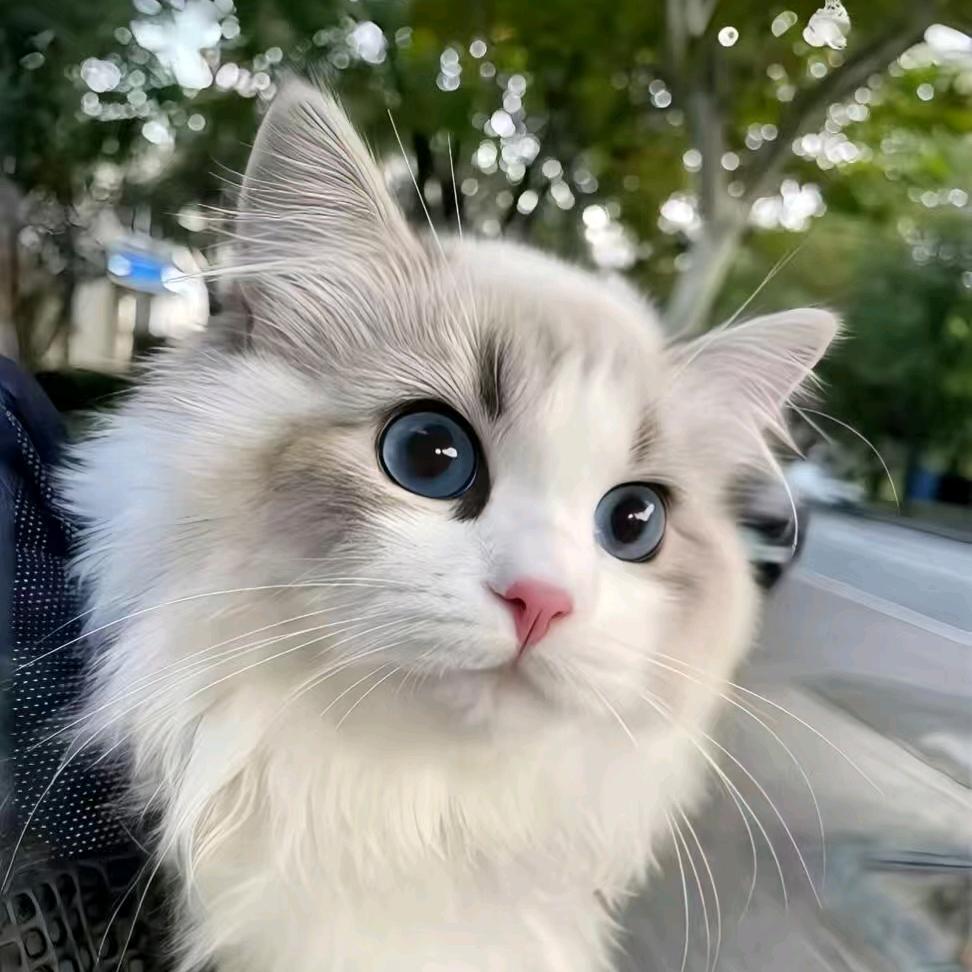 "𝓛𝓲𝓼𝓽𝓮𝓷𝓲𝓷𝓰