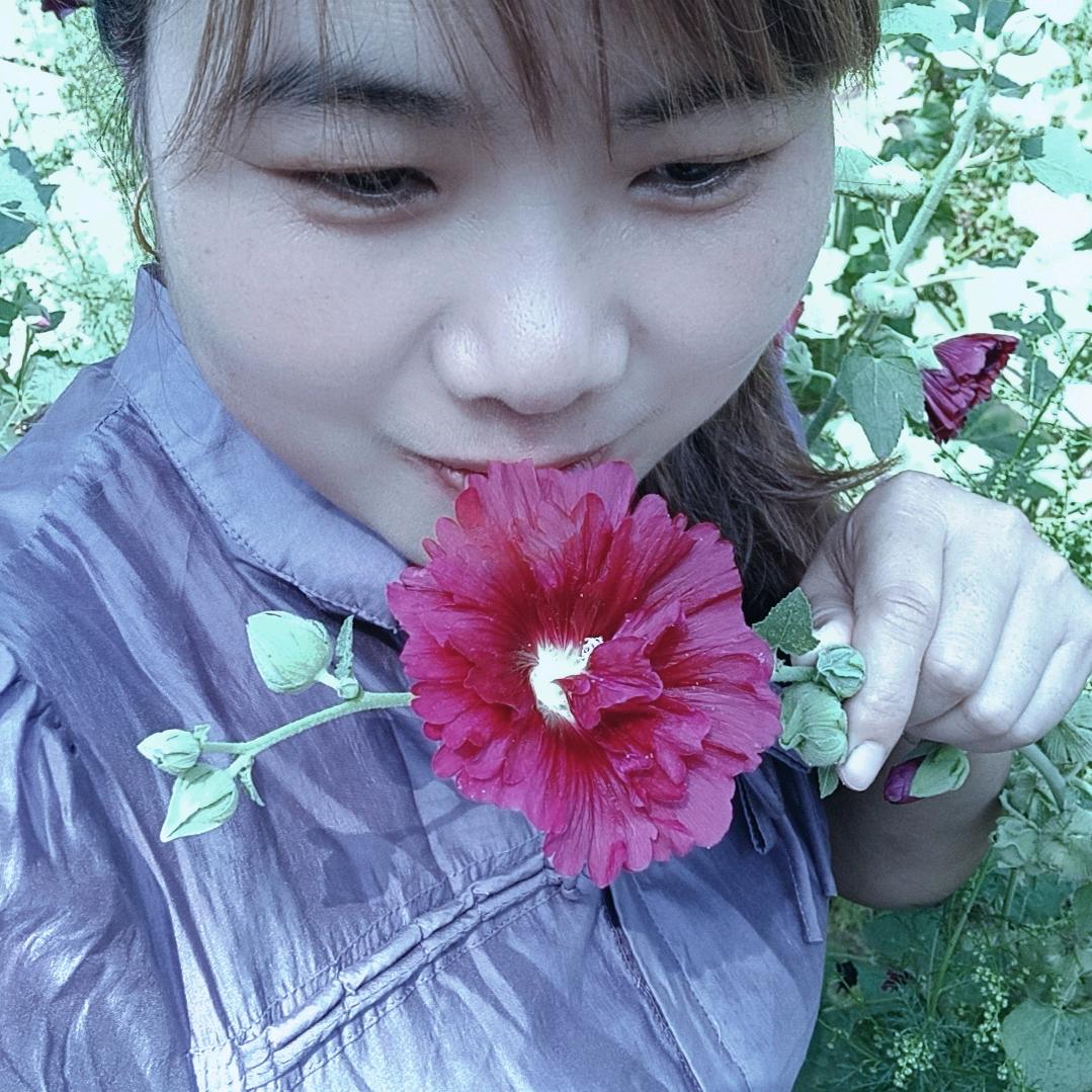 忘忧草