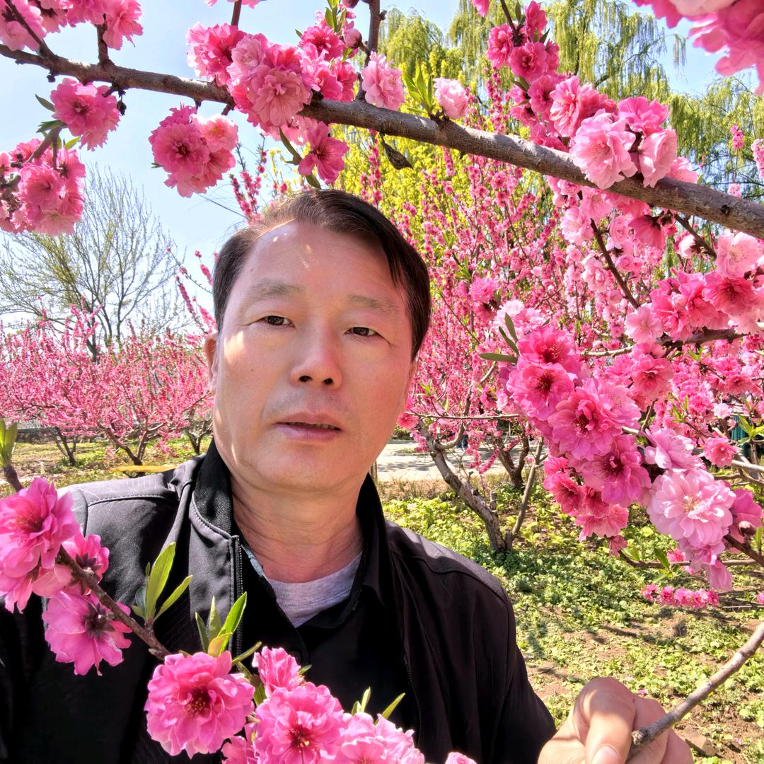 宋希振