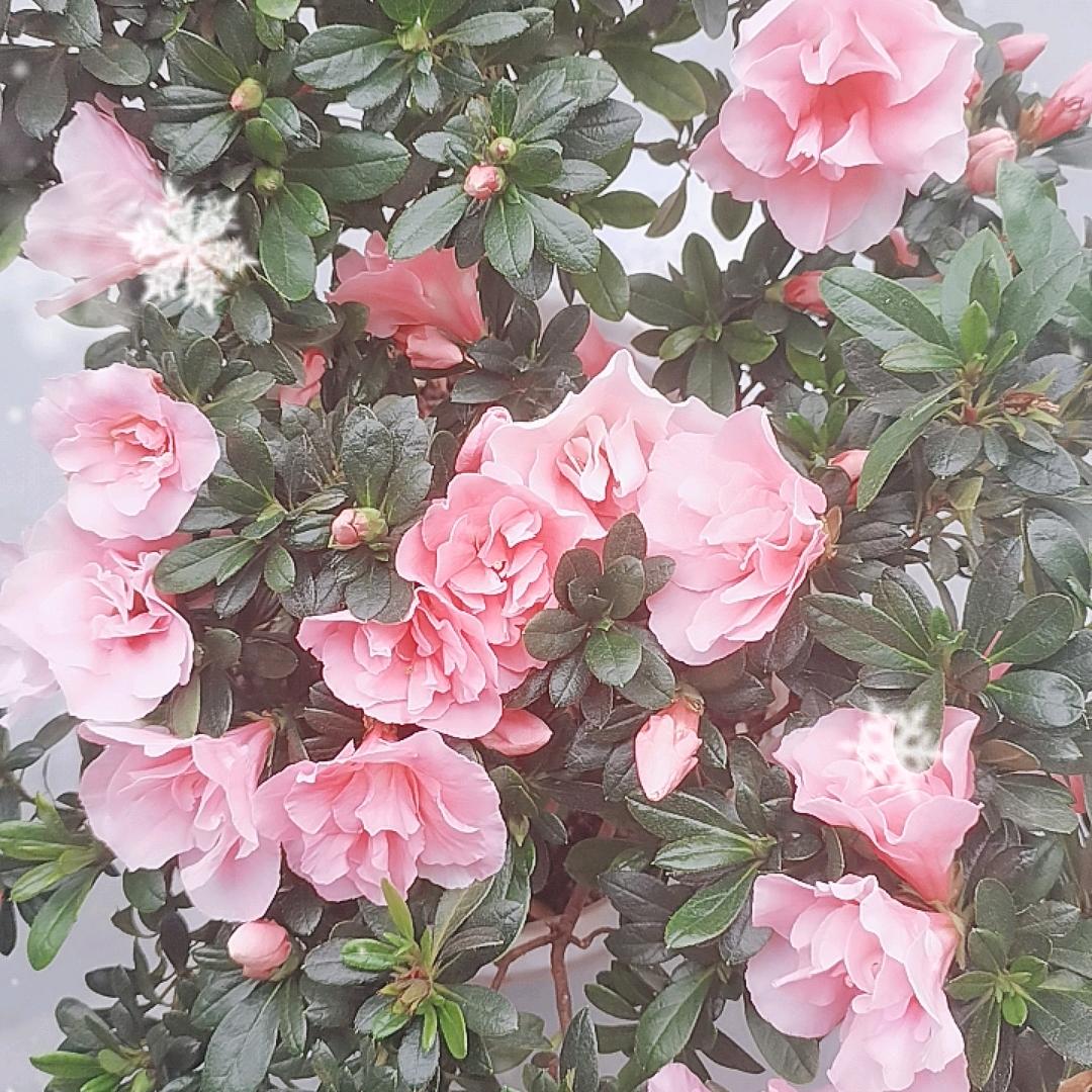 向阳