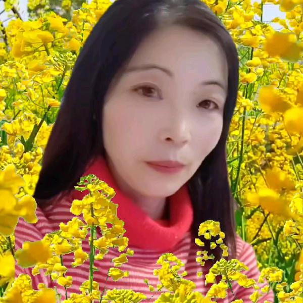 幸福的💝💝蝴蝶🌹🌹