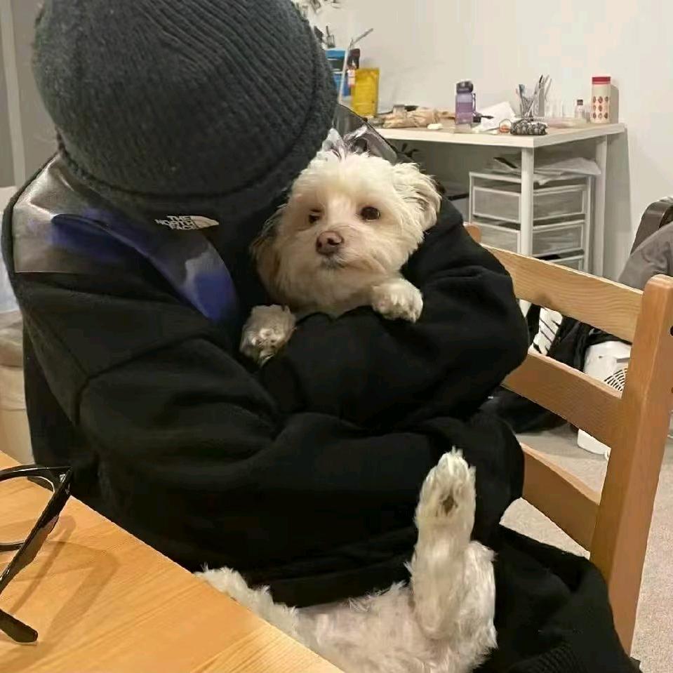 愤恨的血泪