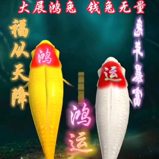 @货车自驾游 @