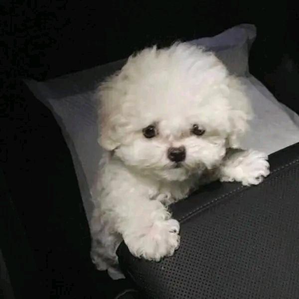 A_晓萱