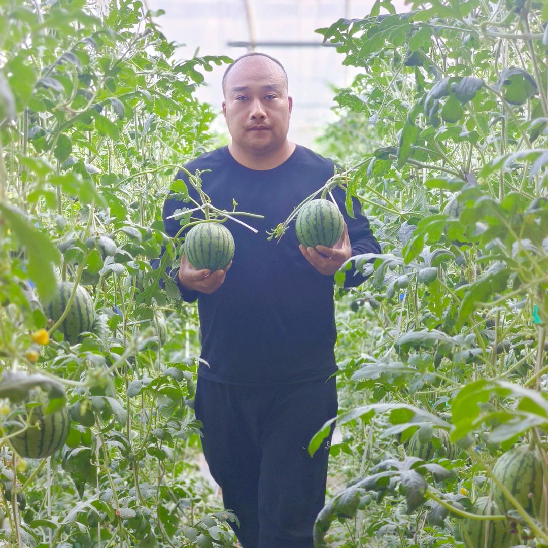 莘县智慧瓜果蔬菜专业合作社