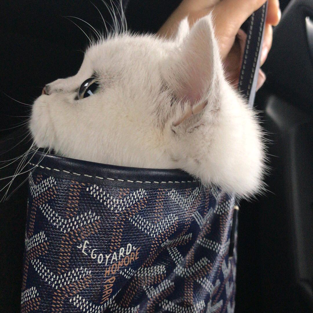 小伊柠