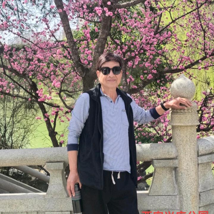 西北老兵568