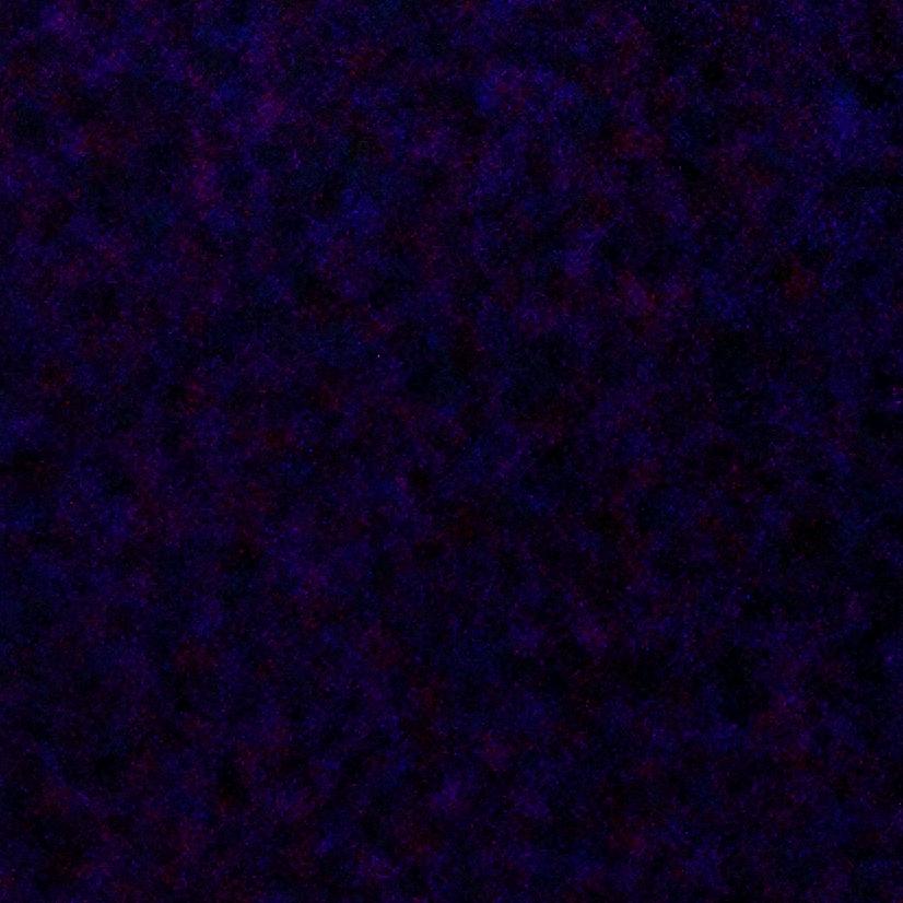 .：