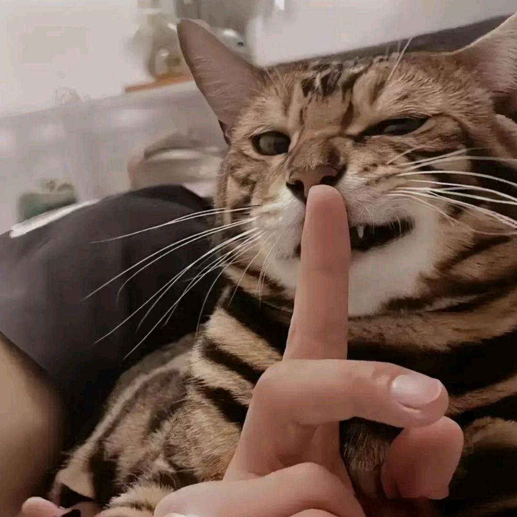 乔胖胖爱吃面