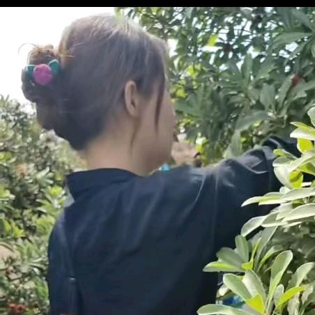 周丫头